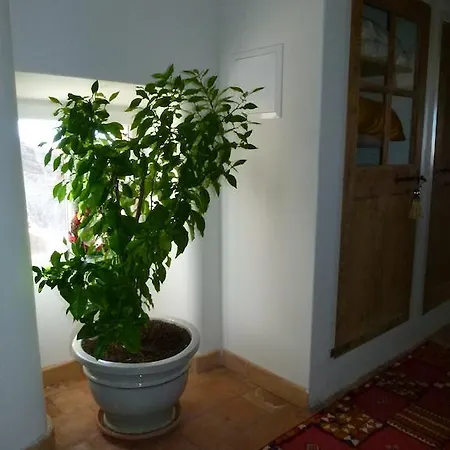 Bed & Breakfast La Bastide Du Garri Murs-Erigne